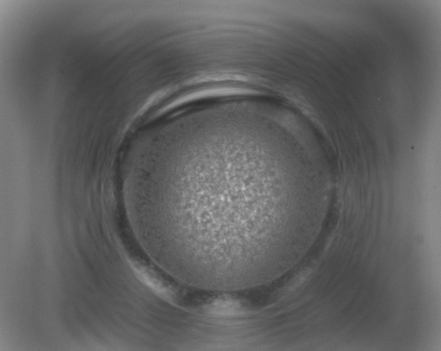 X0000081310256200701181909