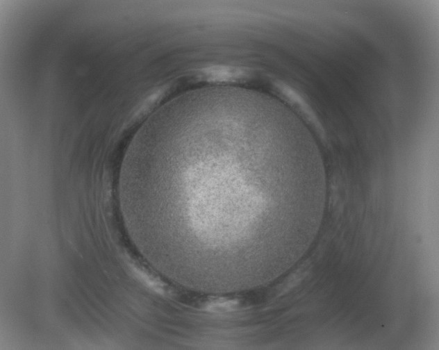 X0000081310257200701181910