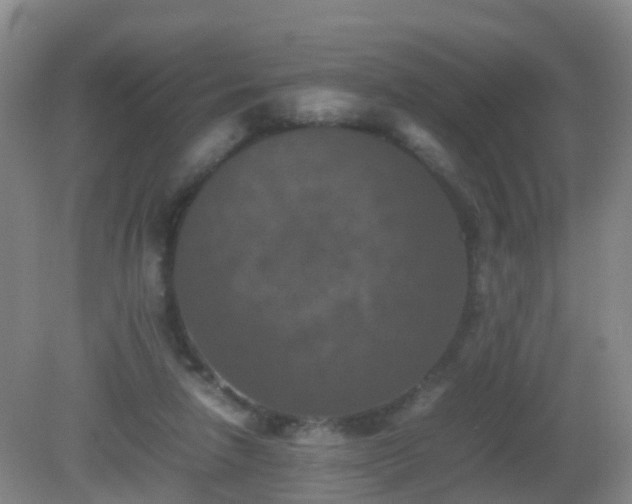 X0000081310258200701181910