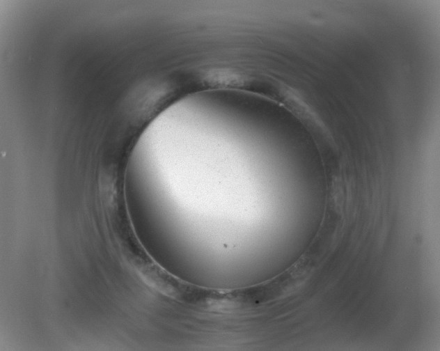 X0000081310259200701181910