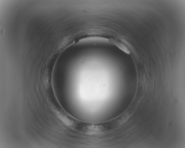 X0000081310261200701181910