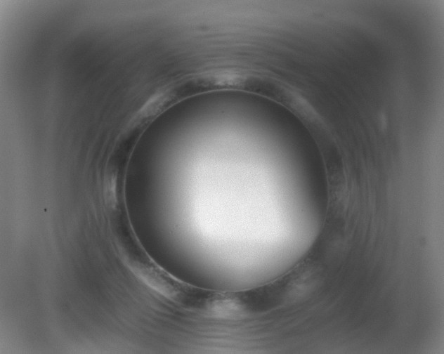 X0000081310262200701181910