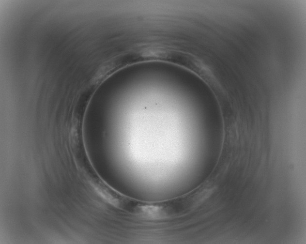 X0000081310265200701181910