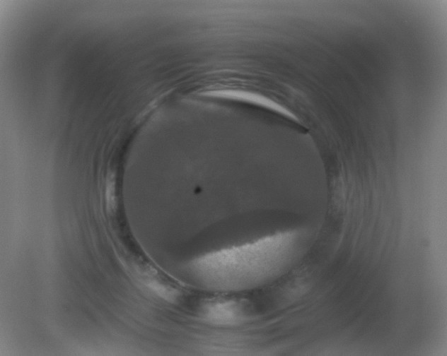 X0000081310267200701181910