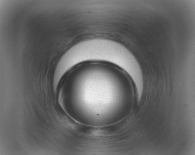 X0000081310268200701181910