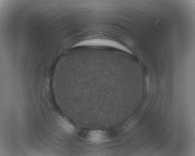 X0000081310269200701181910