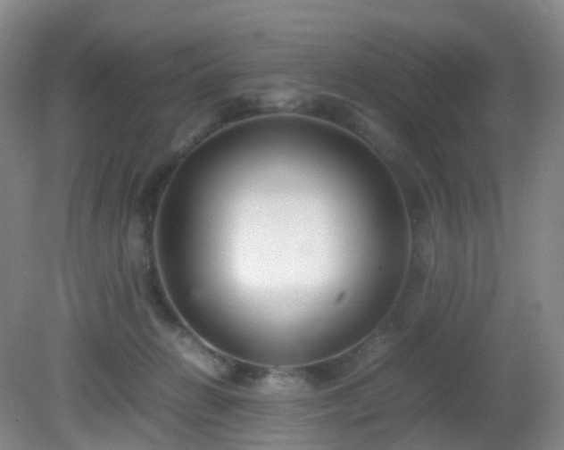 X0000081310270200701181910