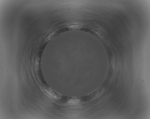 X0000081310271200701181910