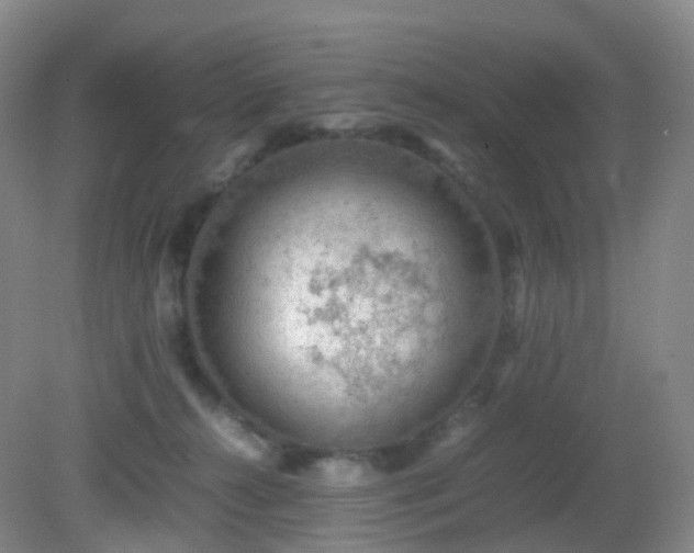 X0000081310272200701181910