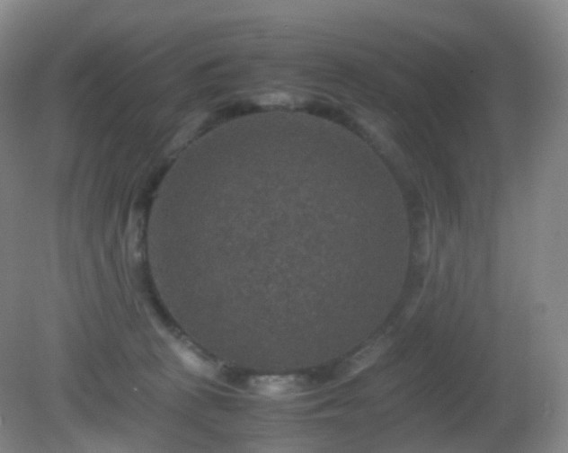 X0000081310273200701181910