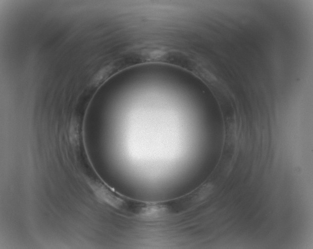 X0000081310274200701181910