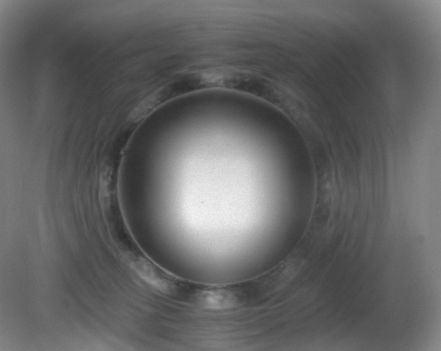 X0000081310275200701181910