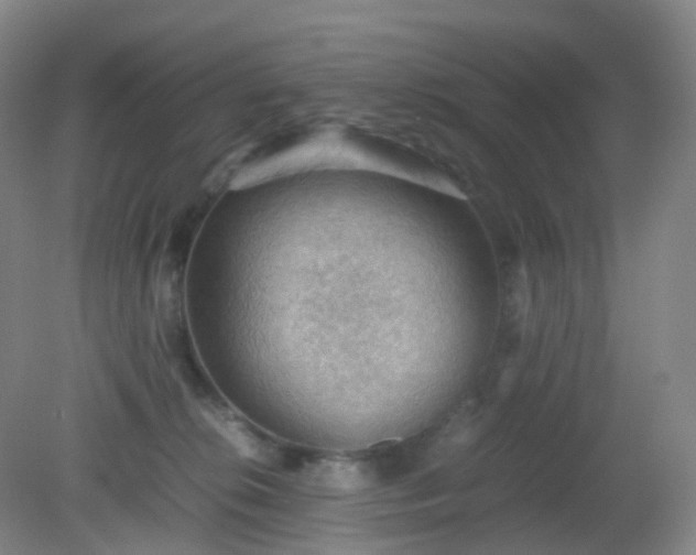 X0000081310276200701181910