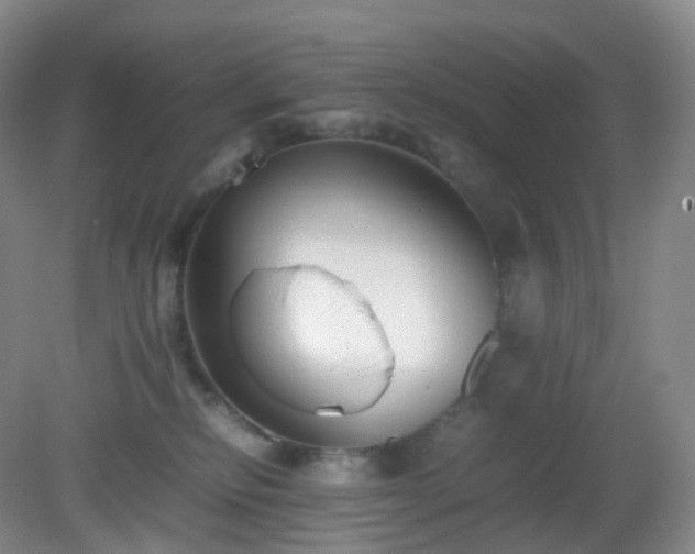 X0000081310278200701181910