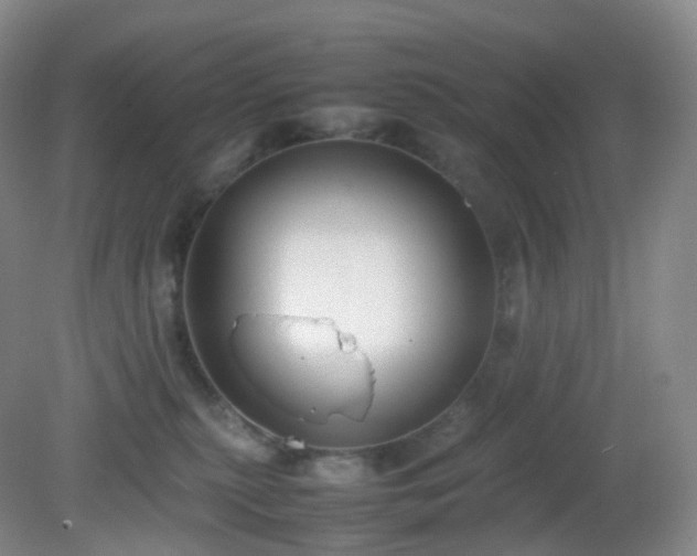 X0000081310279200701181910