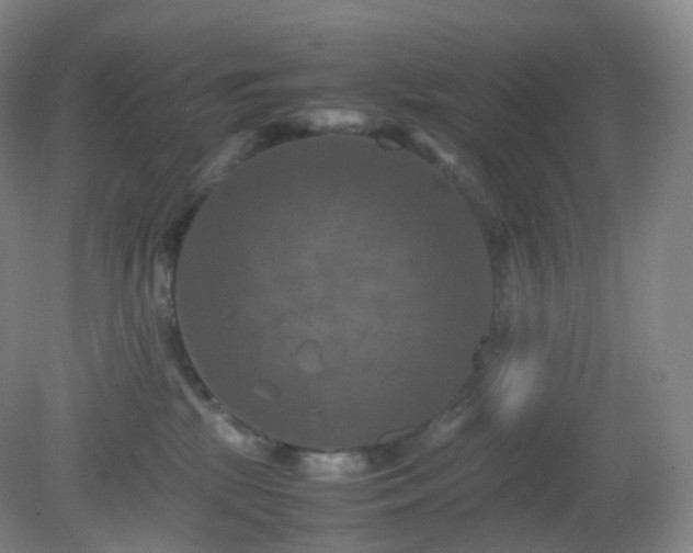 X0000081310281200701181910