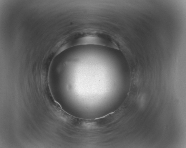 X0000081310283200701181910