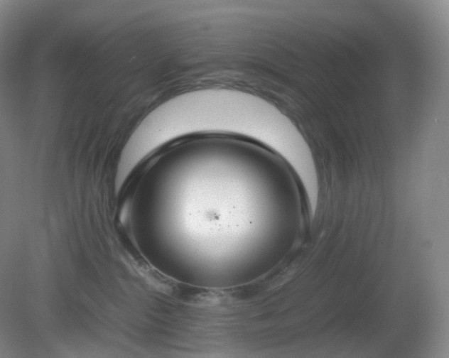 X0000081310284200701181910