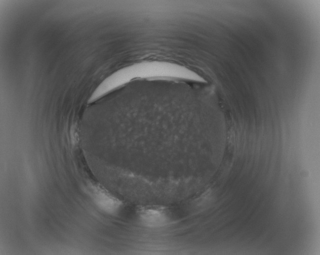 X0000081310285200701181910