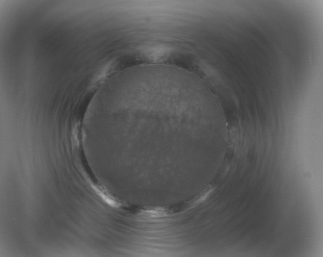 X0000081310286200701181910