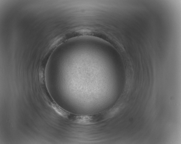 X0000081310288200701181910