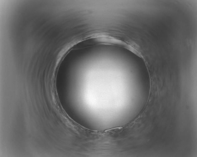 X0000081310289200701181909