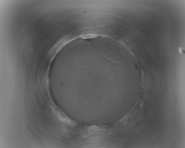 X0000081310290200701181909