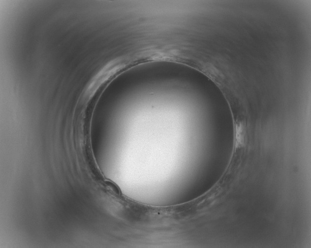 X0000081310291200701181909