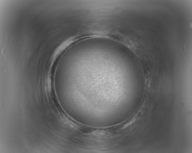 X0000081310294200701181909