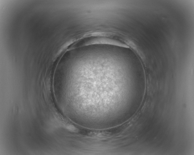 X0000081310297200701181909