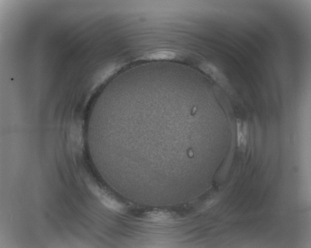 X0000081310300200701181909