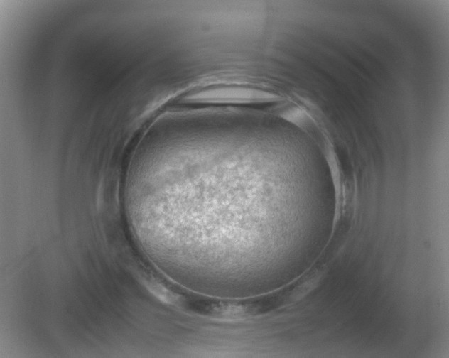 X0000081310301200701181909