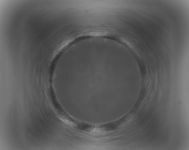 X0000081310303200701181909