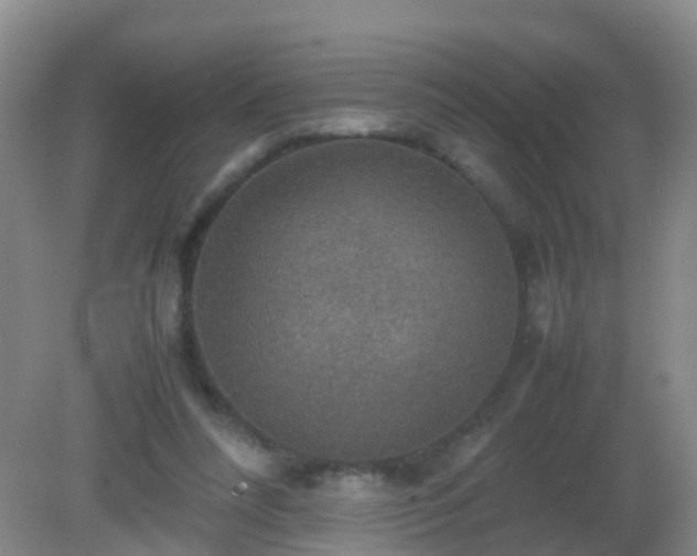 X0000081310304200701181909