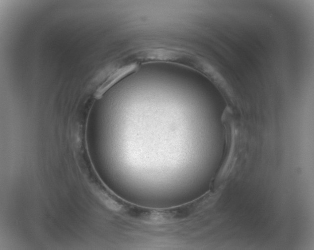 X0000081310305200701181909