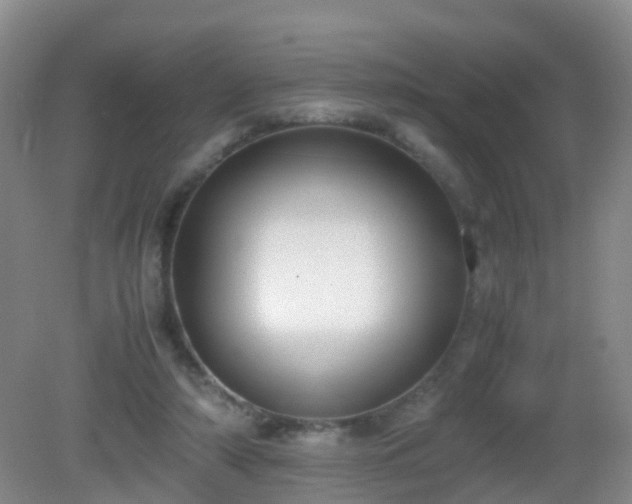 X0000081310306200701181909