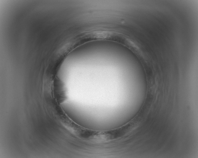 X0000081310307200701181909