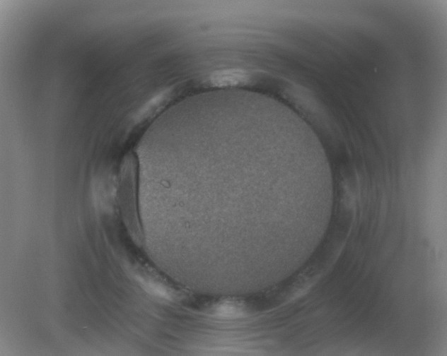 X0000081310308200701181909