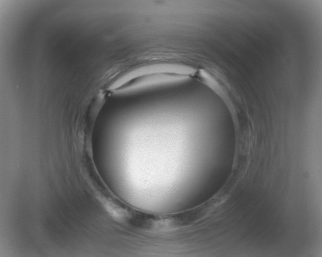 X0000081310309200701181909