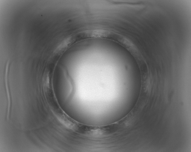 X0000081310310200701181909