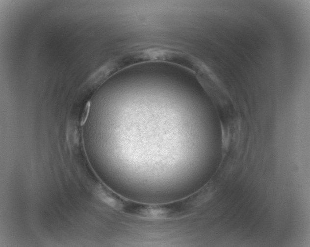 X0000081310313200701181909