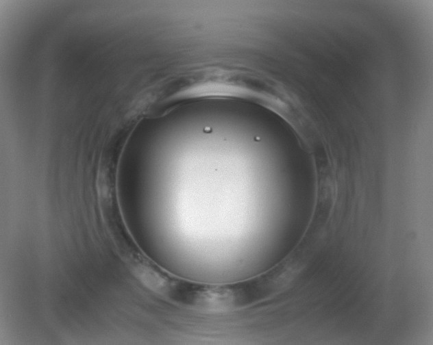 X0000081310317200701181909