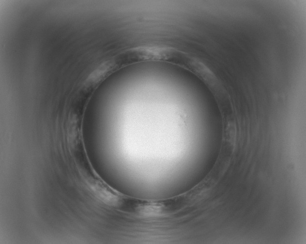 X0000081310318200701181909