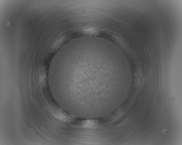 X0000081310320200701181909