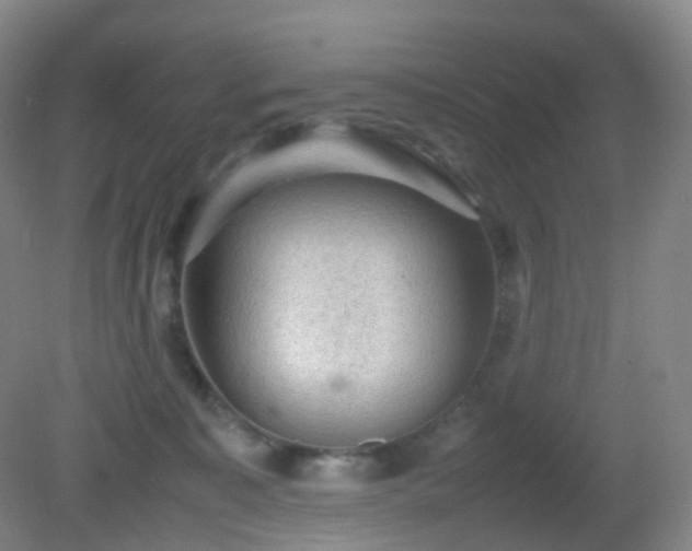 X0000081310323200701181909