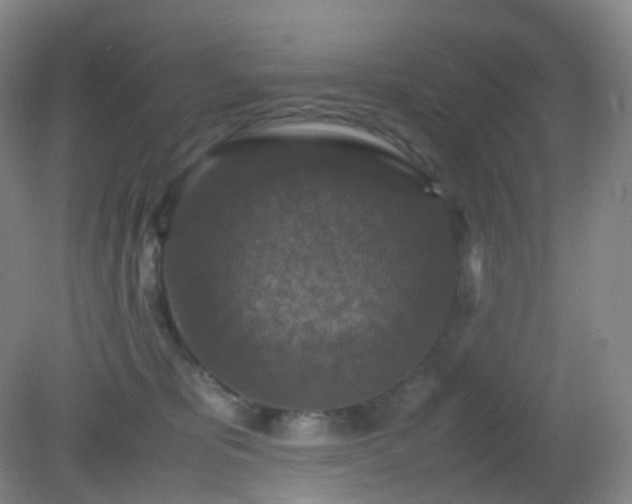 X0000081310325200701181909