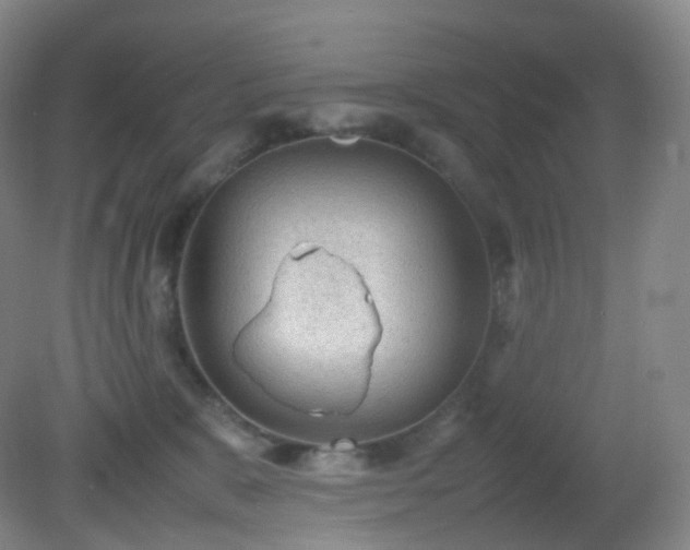 X0000081310327200701181909