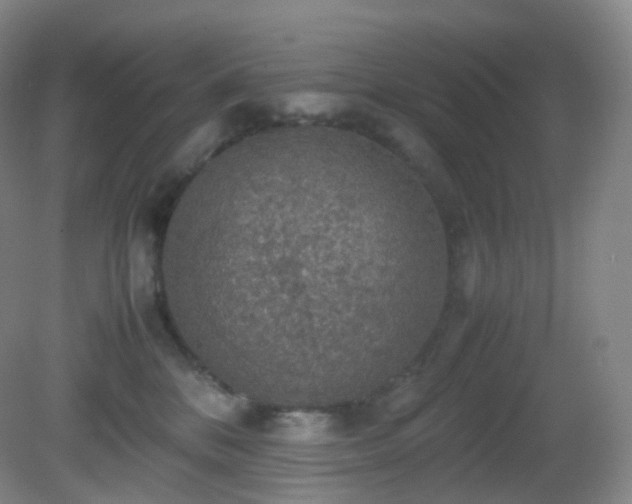 X0000081310328200701181909