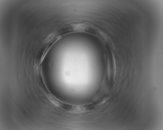 X0000081310329200701181909