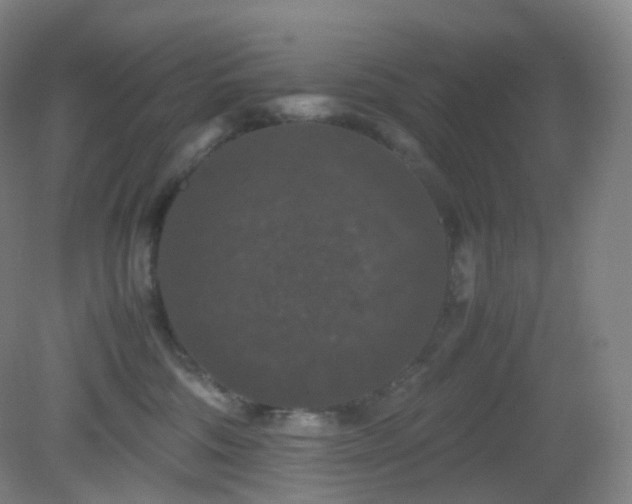 X0000081310330200701181909